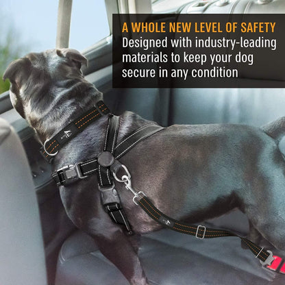 Orange Car Seat Belt for Dogs, Attaches to Harness & Collar, Adjustable 18" - 24" Travel Restraint System Fits Small - Large Pups for Safety & Comfort, Essential Pet Supplies & Accessories